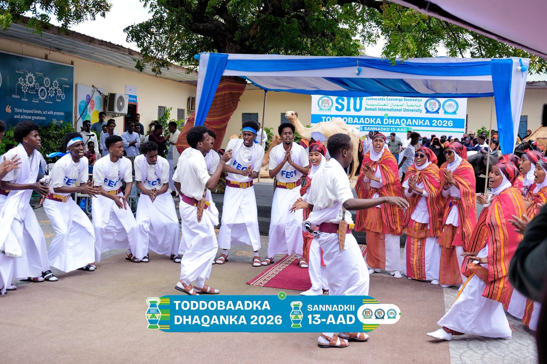 Students in white and burgundy traditional outfits perform a circle dance beside a camel during SIU's Cultural Week celebrations.