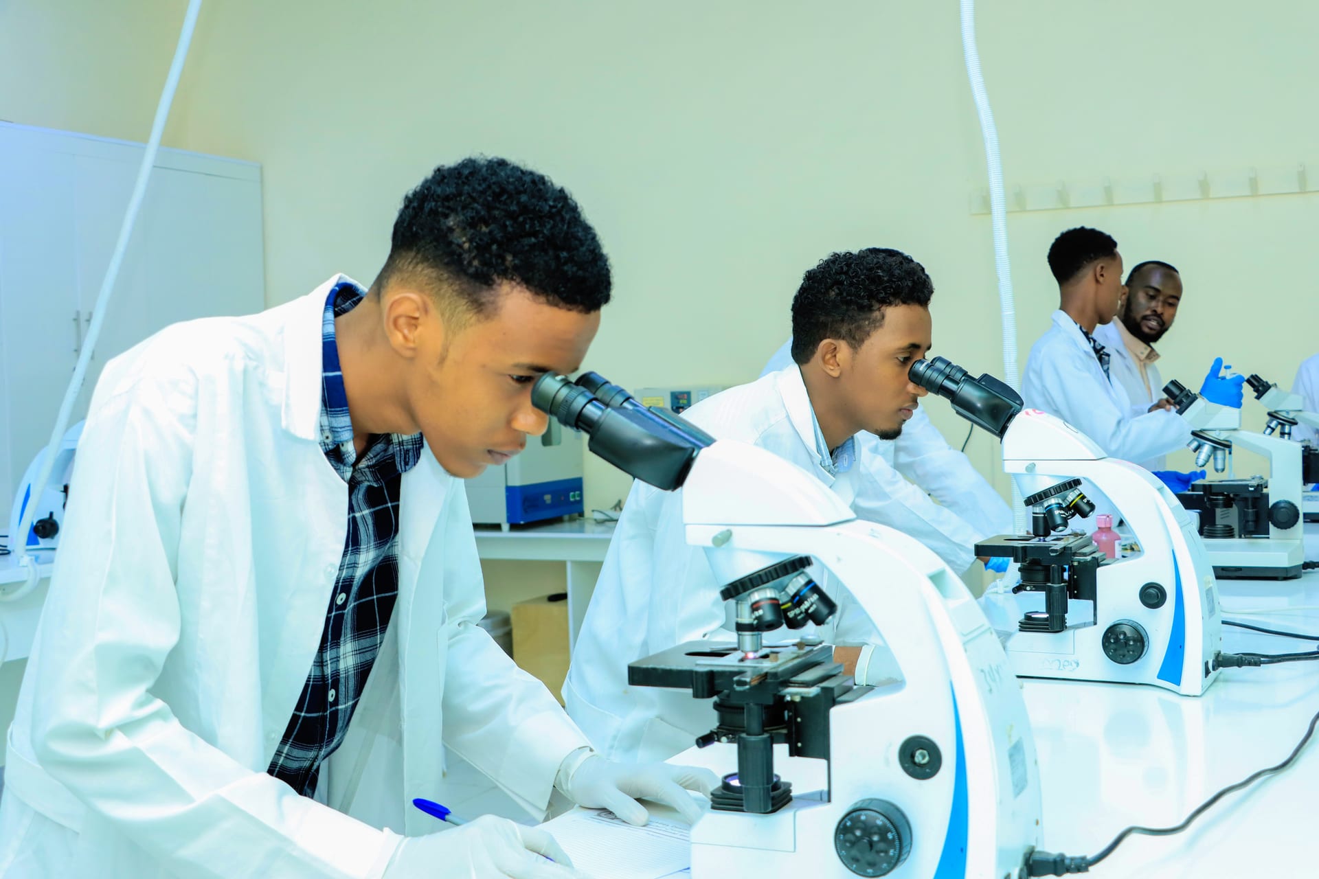 Medical Lab