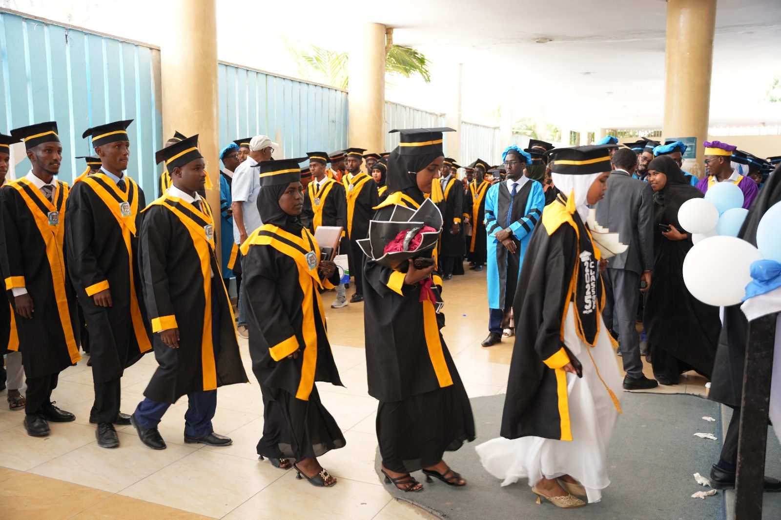 Department of Accounting and Finance