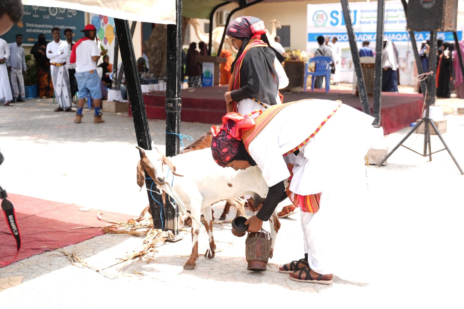 SIU Cultural Week — students and guests celebrating Somali heritage on campus