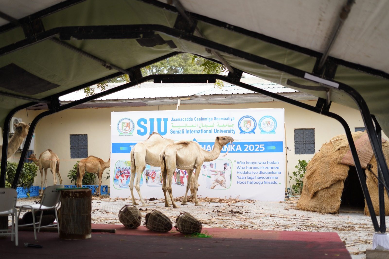 SIU Cultural Week — students and guests celebrating Somali heritage on campus